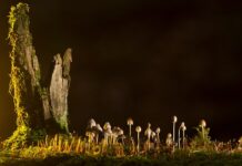 Jakie są rodzaje instalacji gazowych?