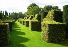 Ile trzeba mieć hektarów żeby się opłacało?