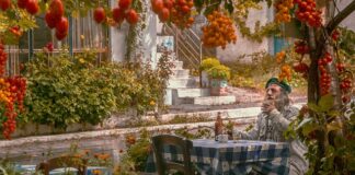 Ile pali Seat Leon 1.8 T?