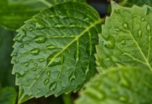 Jak pozbyć się wilgoci z kampera?