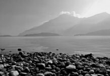 Ile kosztuje 1 cm spawu Migomatem?