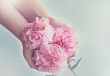 Jakie maszyny do gospodarstwa?