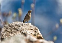 W jakiej wilgotności rozwija się pleśń? W jakiej wilgotności rozwija się pleśń?