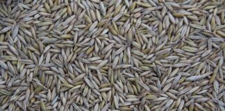 Co jest produkowane w Tychach?