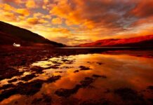 Jaki jest majątek Kulczyka?