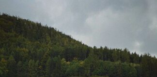 Praca za kierownicą ciężarówki — pięć mitów, które utrudniają start w zawodzie Praca za kierownicą ciężarówki